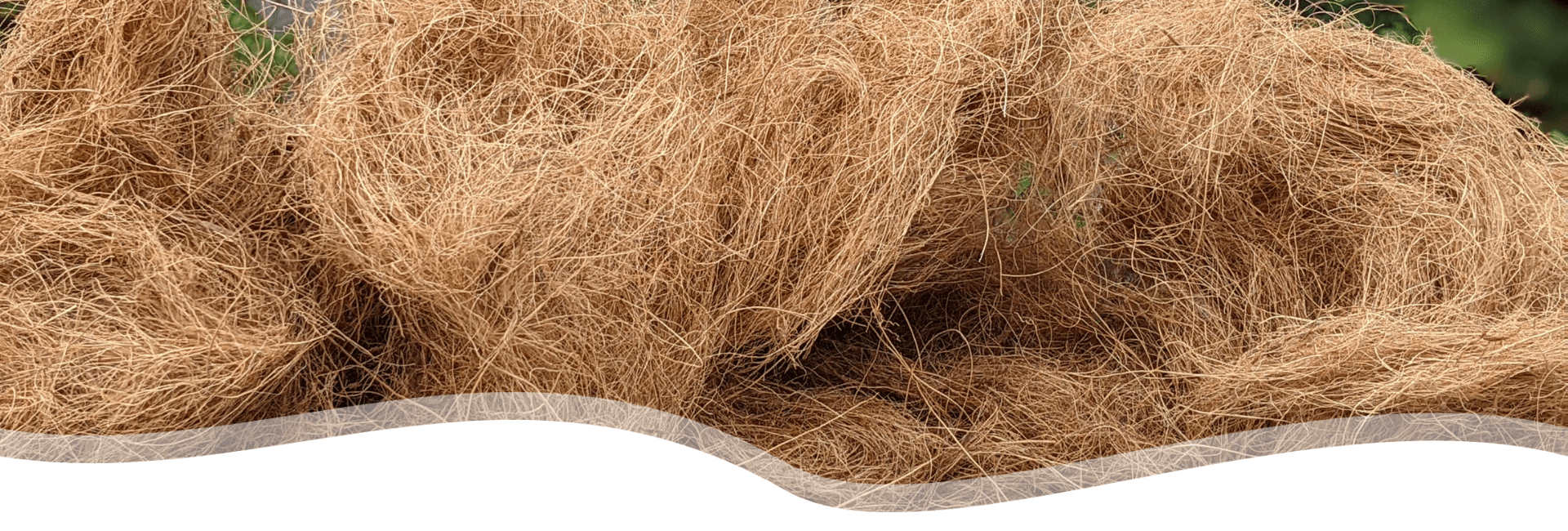 Growing Medium For Plants