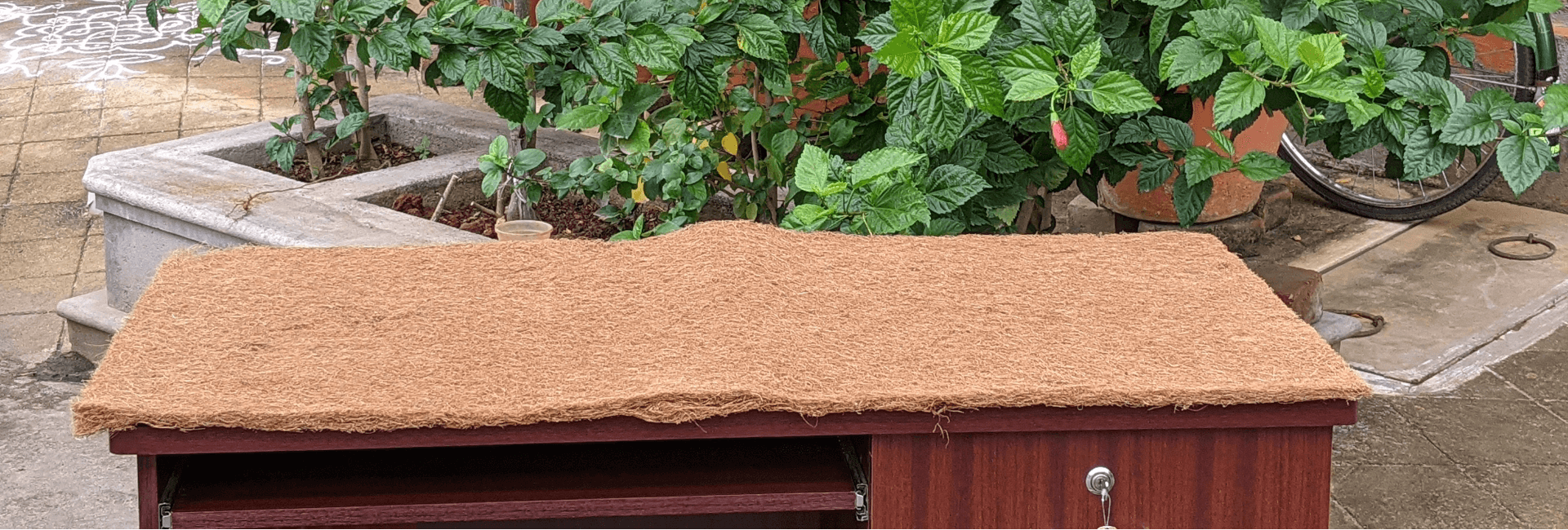 Growing Medium For Plants
